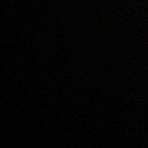 Meet your Posher, Callie